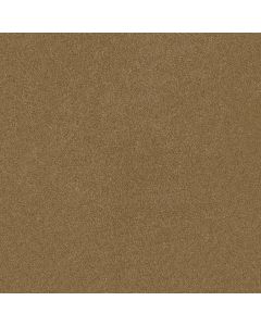 Shaw DREAMS I Tiger Eye Carpet - SH-814CC-00223