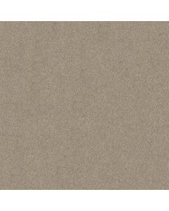 Shaw DREAMS I Cement Carpet - SH-814CC-00512