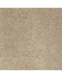 Shaw DREAMS I Oyster Carpet - SH-814CC-00513