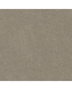 Shaw DREAMS I Valley Mist Carpet - SH-814CC-00523