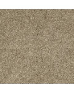 Shaw DREAMS I Dusk Carpet - SH-814CC-00534