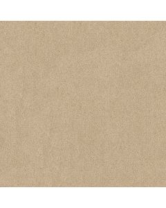 Shaw SALINA I Dream Dust Carpet - SH-814PT-00220