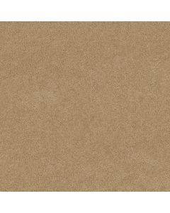 Shaw SALINA I Chamois Carpet - SH-814PT-00221