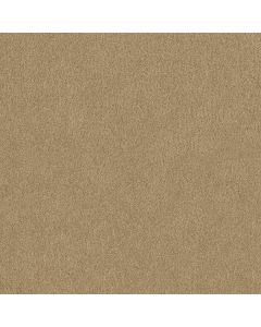 Shaw SALINA I Macadamia Carpet - SH-814PT-00232