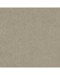 Shaw SALINA I Gray Whisper Carpet - SH-814PT-00515