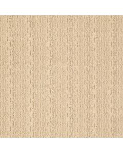 Shaw APPIAN WAY Halo Carpet - SH-820MT-00213