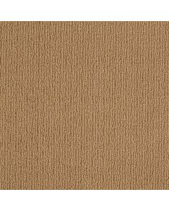 Shaw APPIAN WAY Lucky Charm Carpet - SH-820MT-00277