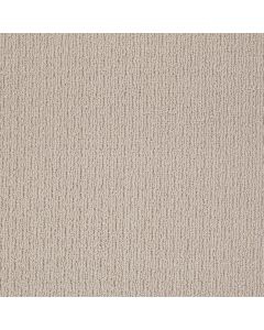 Shaw APPIAN WAY Iced Gray Carpet - SH-820MT-00552