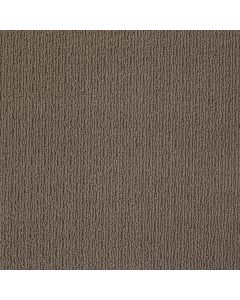 Shaw APPIAN WAY Castle Rock Carpet - SH-820MT-00558