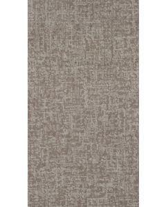 Shaw FINE STRUCTURE Cold Winter Carpet - SH-CC69B-00126