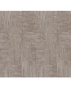 Shaw INSIGHTFUL JOURNEY Cold Winter Carpet - SH-CC71B-00126