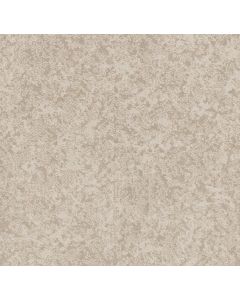 Shaw STATE OF MIND Delicate Cream Carpet - SH-CC72B-00156