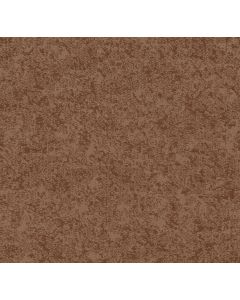 Shaw STATE OF MIND Sunbaked Carpet - SH-CC72B-00650