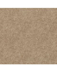 Shaw STATE OF MIND Natural Beauty Carpet - SH-CC72B-00721