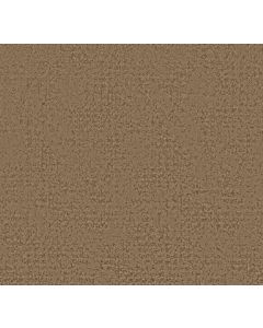 Shaw ARTISTIC PRESENCE Raw Wood Carpet - SH-CC73B-00720