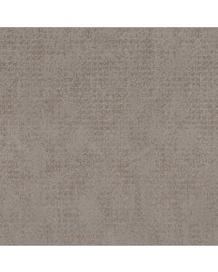 Shaw ARTISTIC PRESENCE Stucco Carpet - SH-CC73B-00724