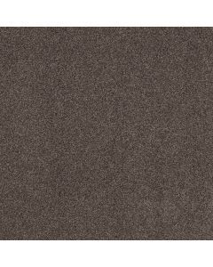 Shaw COZY HARBOR I Burma Brown Carpet - SH-CC78B-00752
