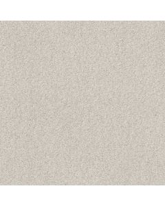 Shaw COZY HARBOR II Candle Light Carpet - SH-CC79B-00122