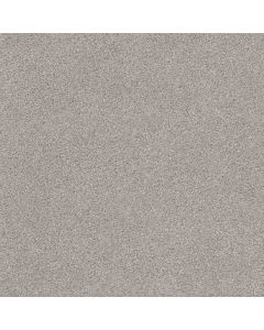 Shaw COZY HARBOR II Cold Winter Carpet - SH-CC79B-00126