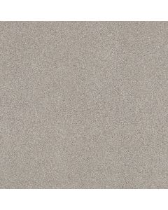 Shaw COZY HARBOR II Baltic Stone Carpet - SH-CC79B-00128