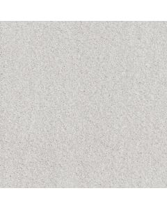 Shaw COZY HARBOR II Snowfall Carpet - SH-CC79B-00150