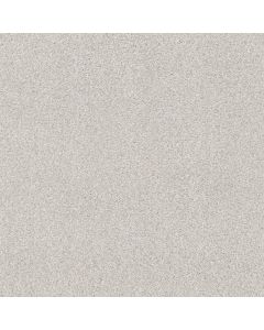 Shaw COZY HARBOR II Free Space Carpet - SH-CC79B-00152