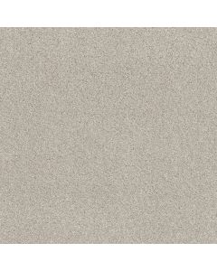 Shaw COZY HARBOR II Thoughtful Carpet - SH-CC79B-00154