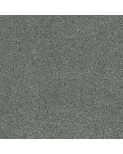Shaw COZY HARBOR II Waters Edge Carpet - SH-CC79B-00307