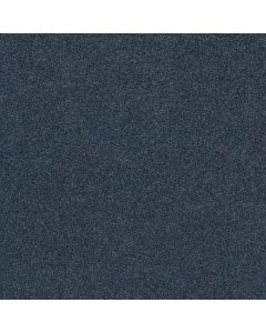 Shaw COZY HARBOR II Ocean Villa Carpet - SH-CC79B-00436