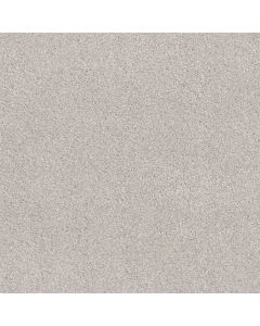 Shaw COZY HARBOR II Minimal Carpet - SH-CC79B-00514