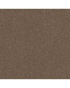 Shaw COZY HARBOR II Raw Wood Carpet - SH-CC79B-00720