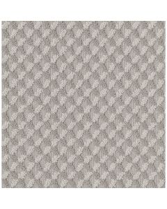 Shaw INSPIRED DESIGN Cold Winter Carpet - SH-CC81B-00126