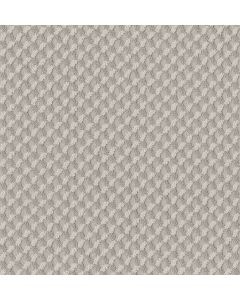 Shaw INSPIRED DESIGN Baltic Stone Carpet - SH-CC81B-00128