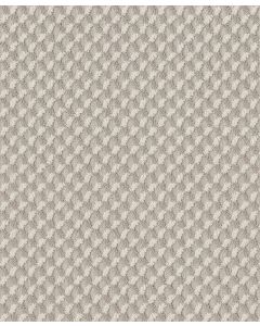 Shaw INSPIRED DESIGN Delicate Cream Carpet - SH-CC81B-00156