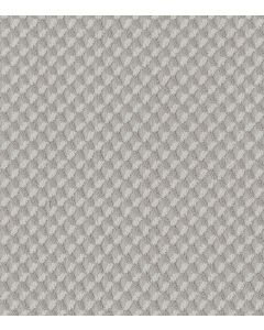 Shaw INSPIRED DESIGN Minimal Carpet - SH-CC81B-00514