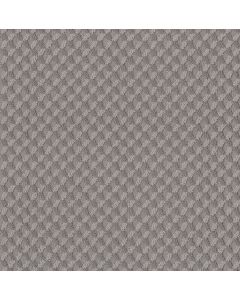 Shaw INSPIRED DESIGN Grounded Gray Carpet - SH-CC81B-00536