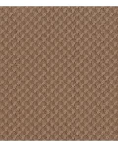 Shaw INSPIRED DESIGN Sunbaked Carpet - SH-CC81B-00650