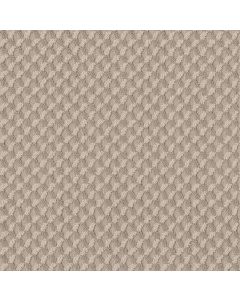 Shaw INSPIRED DESIGN Natural Beauty Carpet - SH-CC81B-00721