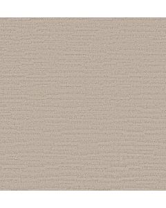 Shaw CALAIS STIL Soft Spoken Carpet - SH-CCS75-00107