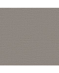 Shaw CALAIS STIL Shadow Carpet - SH-CCS75-00502