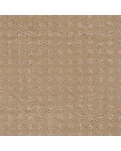 Shaw NOTTINGHAM Tusk Carpet - SH-E0116-00102
