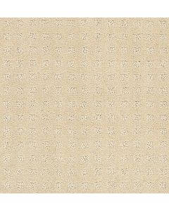 Shaw NOTTINGHAM Soft Sun Carpet - SH-E0116-00133