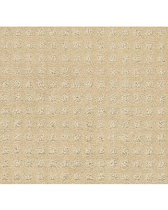 Shaw NOTTINGHAM Honeycomb Carpet - SH-E0116-00142