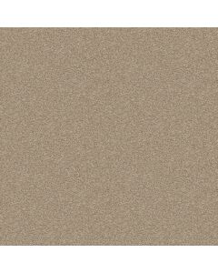 Shaw ONE OVER ALL Stratosphere Carpet - SH-E0120-00103
