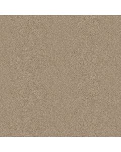 Shaw ONE OVER ALL Aura Carpet - SH-E0120-00104