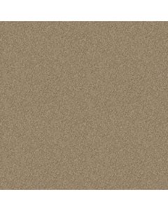 Shaw ONE OVER ALL Huntington Carpet - SH-E0120-00700