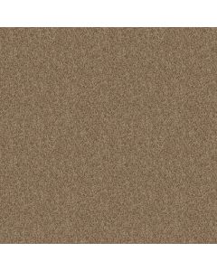 Shaw ONE OVER ALL Sierra Hills Carpet - SH-E0120-00702