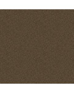Shaw ONE OVER ALL Urban Legend Carpet - SH-E0120-00714