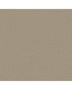 Shaw DREAMIN' 12' Gallery Carpet - SH-E0121-00103