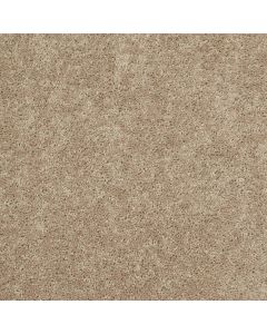 Shaw ALL STAR WEEKEND I 15' Honeycomb Carpet - SH-E0141-00201